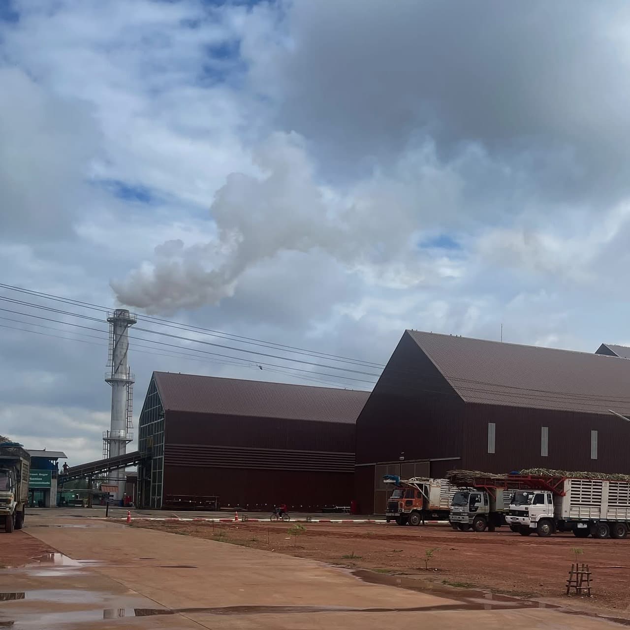 Global Win Co. Ltd operations